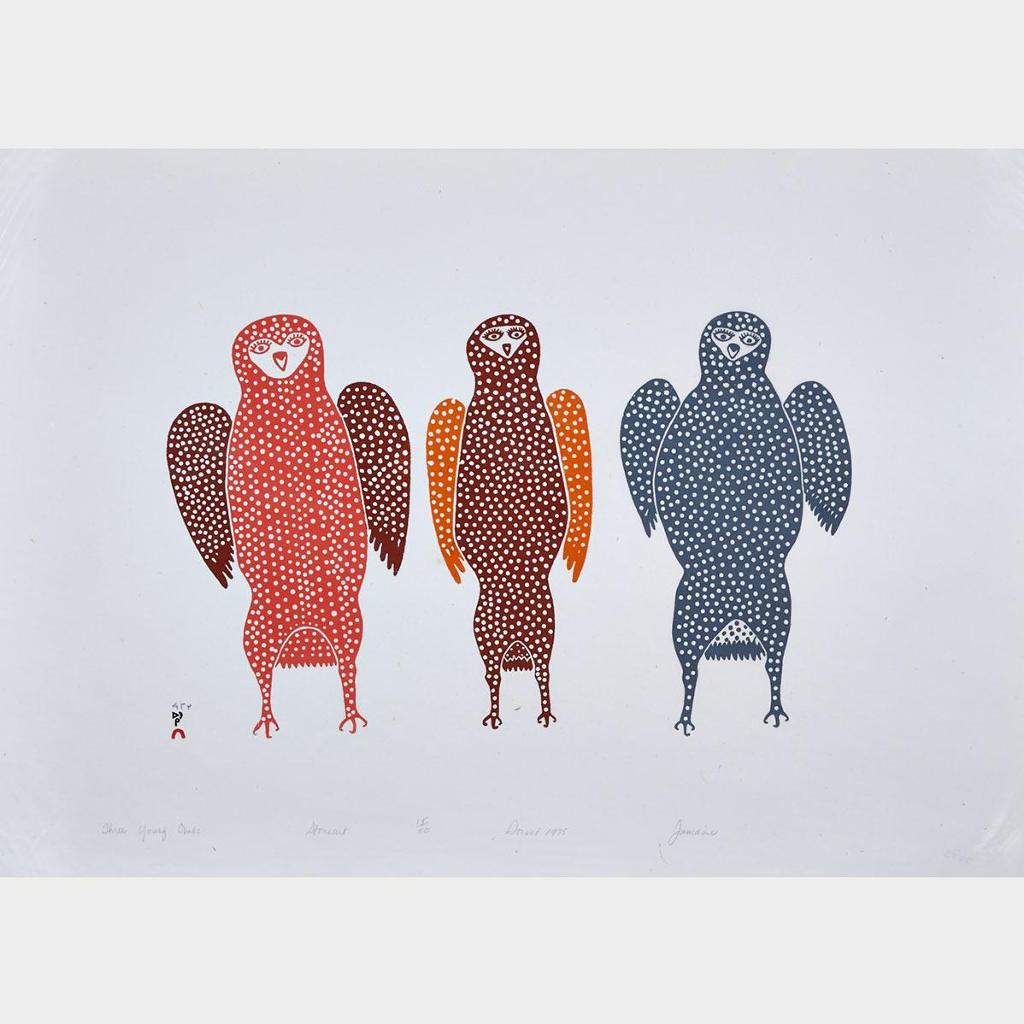 Jamasie Teevee (1910-1985) - Three Young Owls