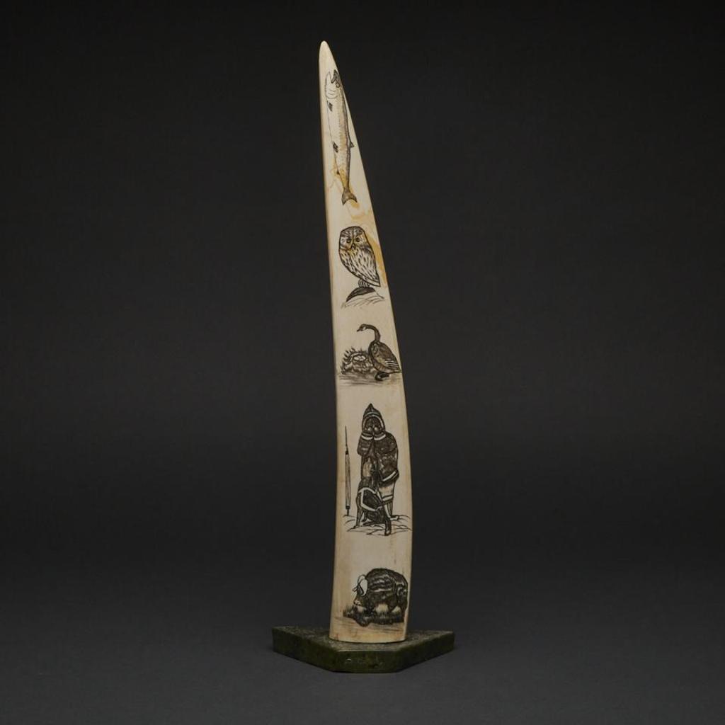 Kiawak (Kiugak) Ashoona (1933-2014) - Carved Tusk With Incised Arctic Scenes