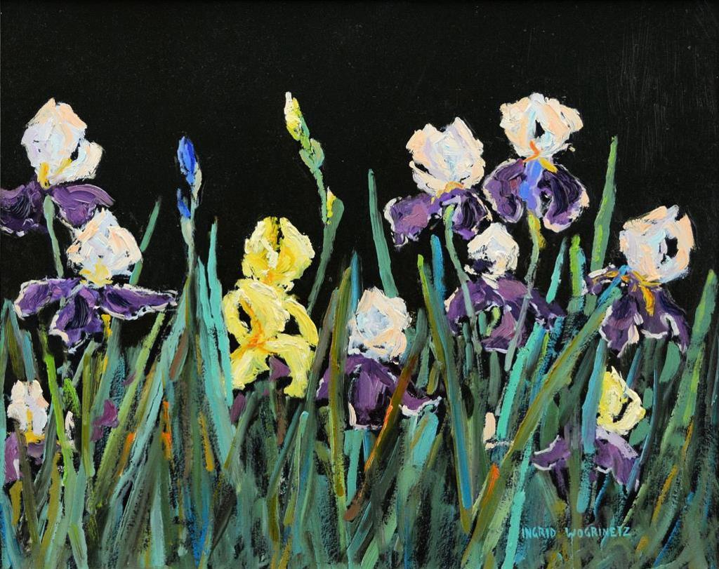 Ingrid Loesche Wogrinetz - Irises