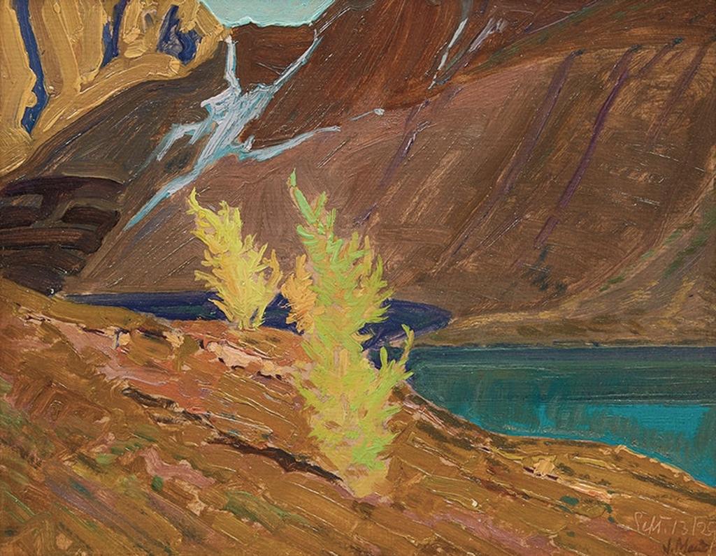 James Edward Hervey (J.E.H.) MacDonald (1873-1932) - Larches, Mountain Lake