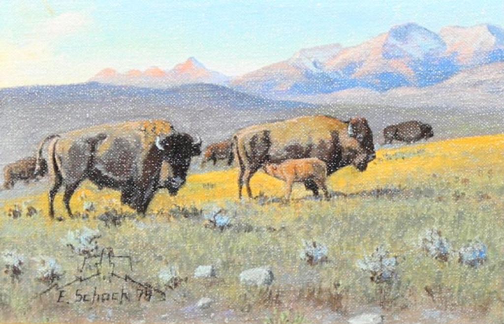 Elmer Schock - BISON; 1974