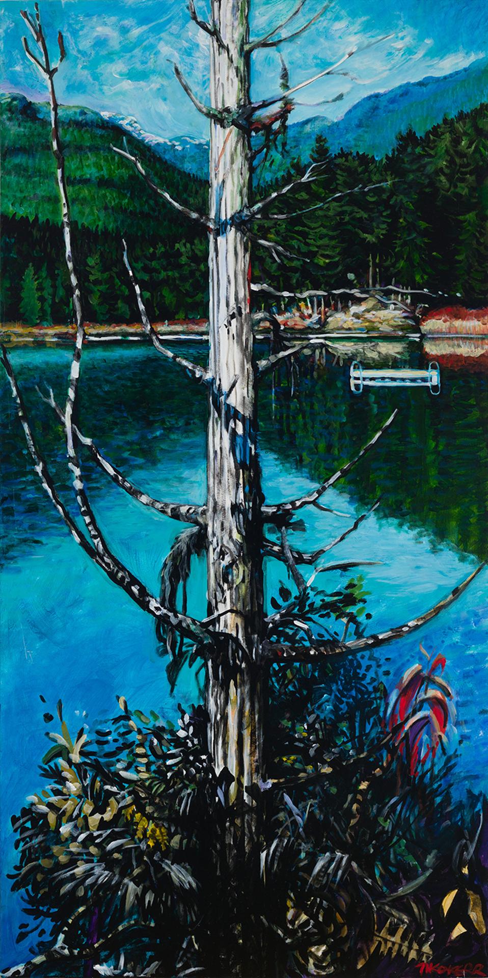 Tiko Kerr (1953) - Snag Over Lost Lake