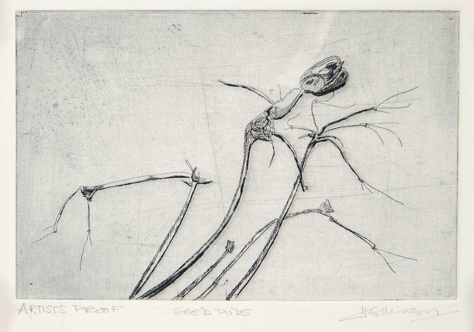 Helen Collinson - Seed Pods  #A.P.
