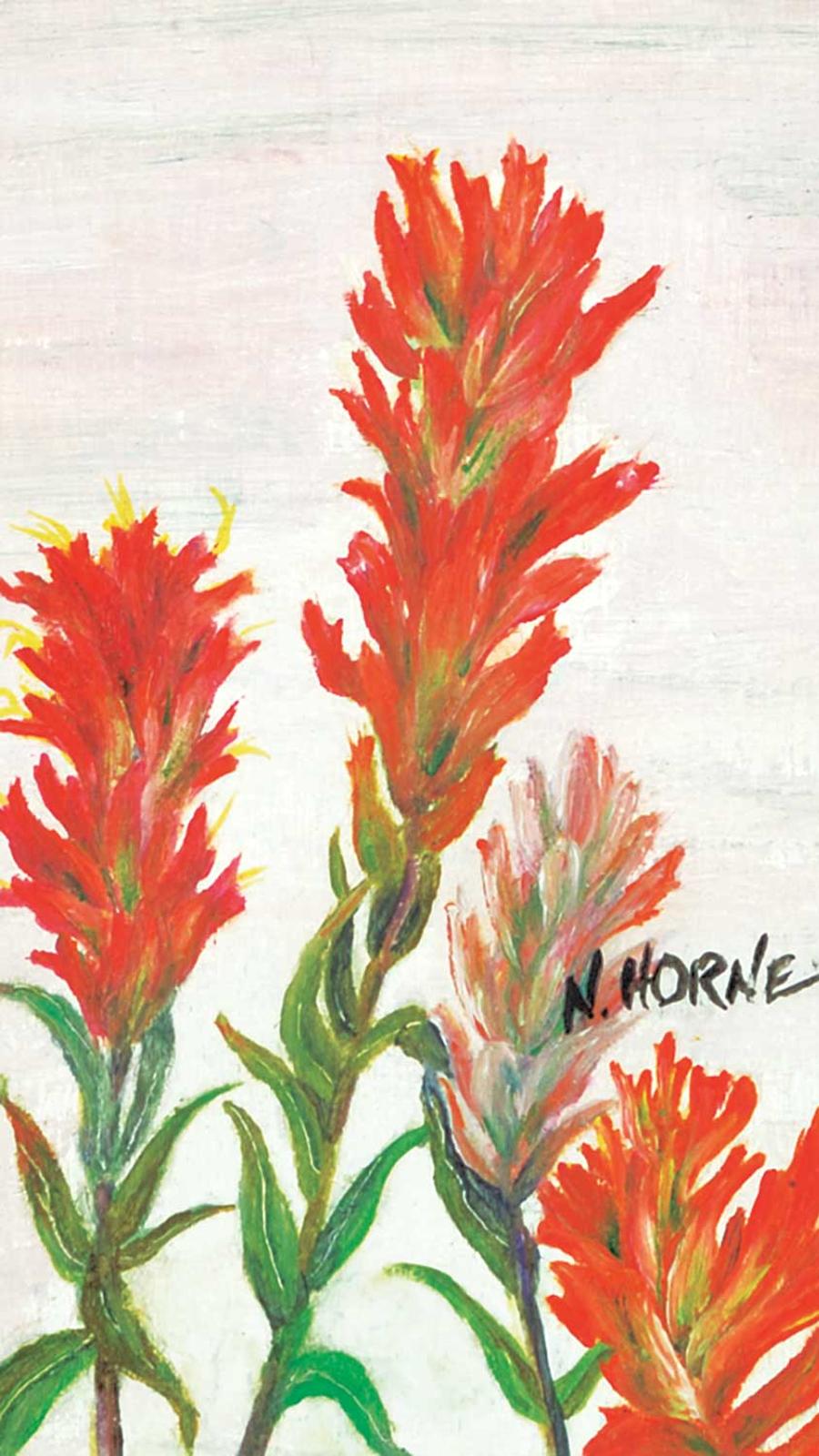 N. Horne - Indian Paint Brush