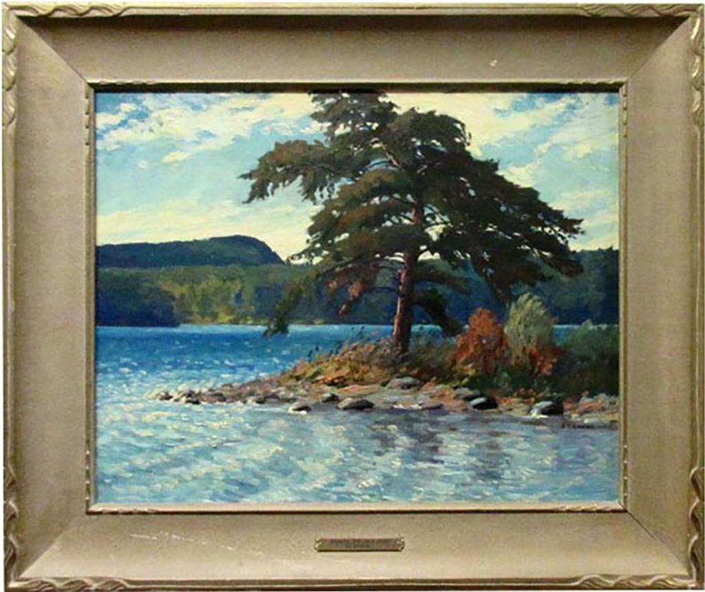 Stuart Clifford Shaw (1896-1970) - Broken Top Jack Pine At Wanapitei Lake