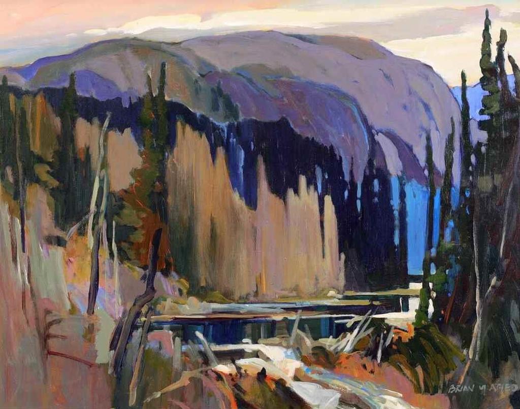 Brian Marshall Atyeo (1950) - Killarney Beaver Pond