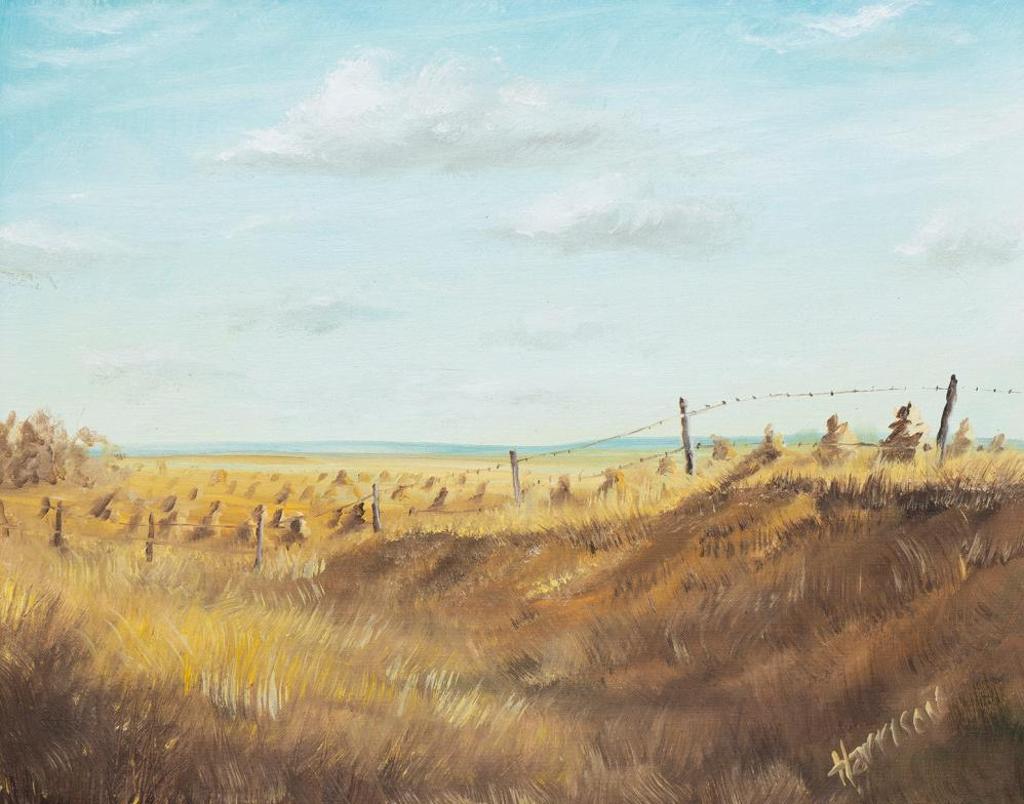 Ken Harrison (1951) - Untitled - Prairie Vista