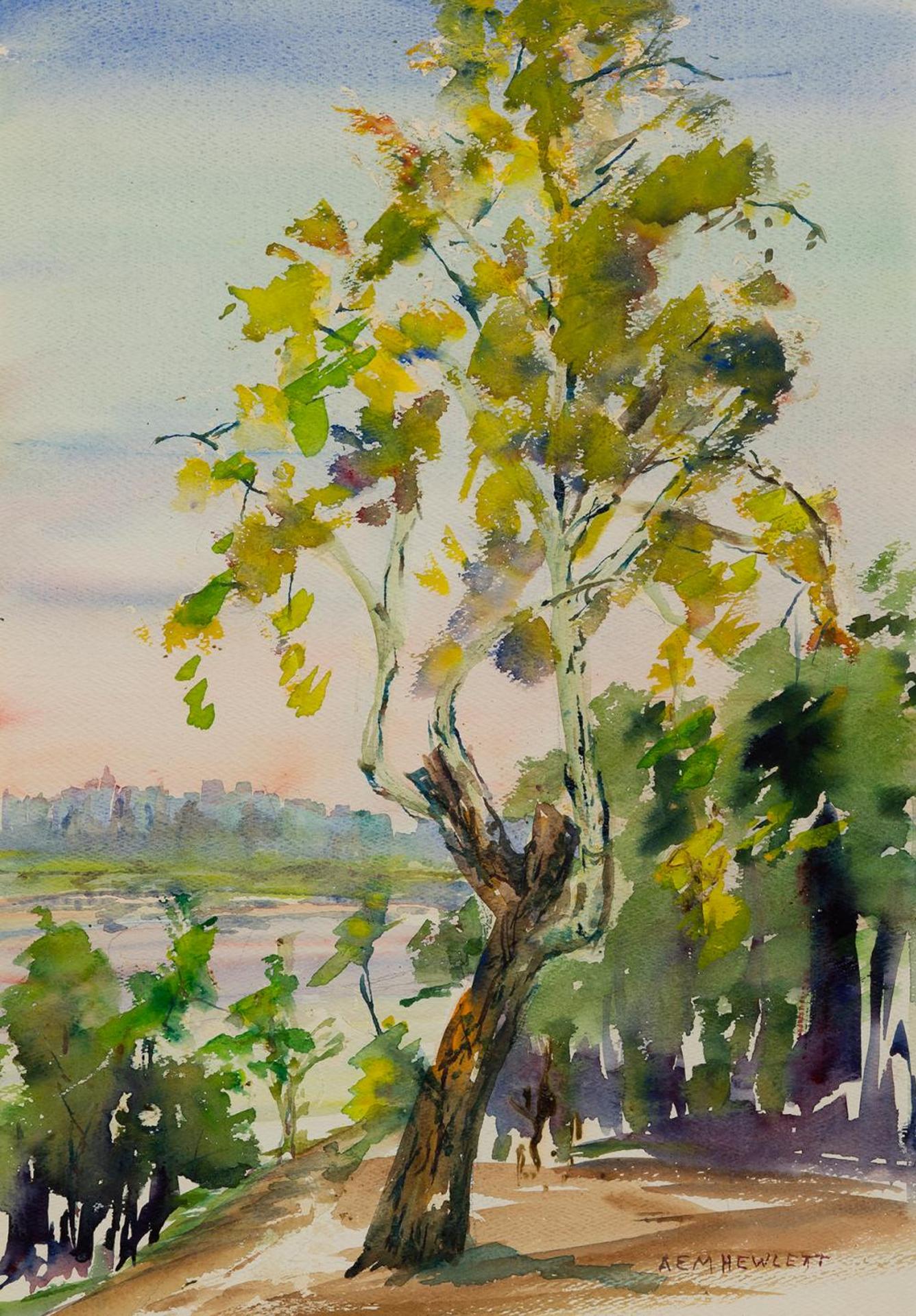 A.E.M. Hewlett (1887-1974) - Untitled - Tree and Lake