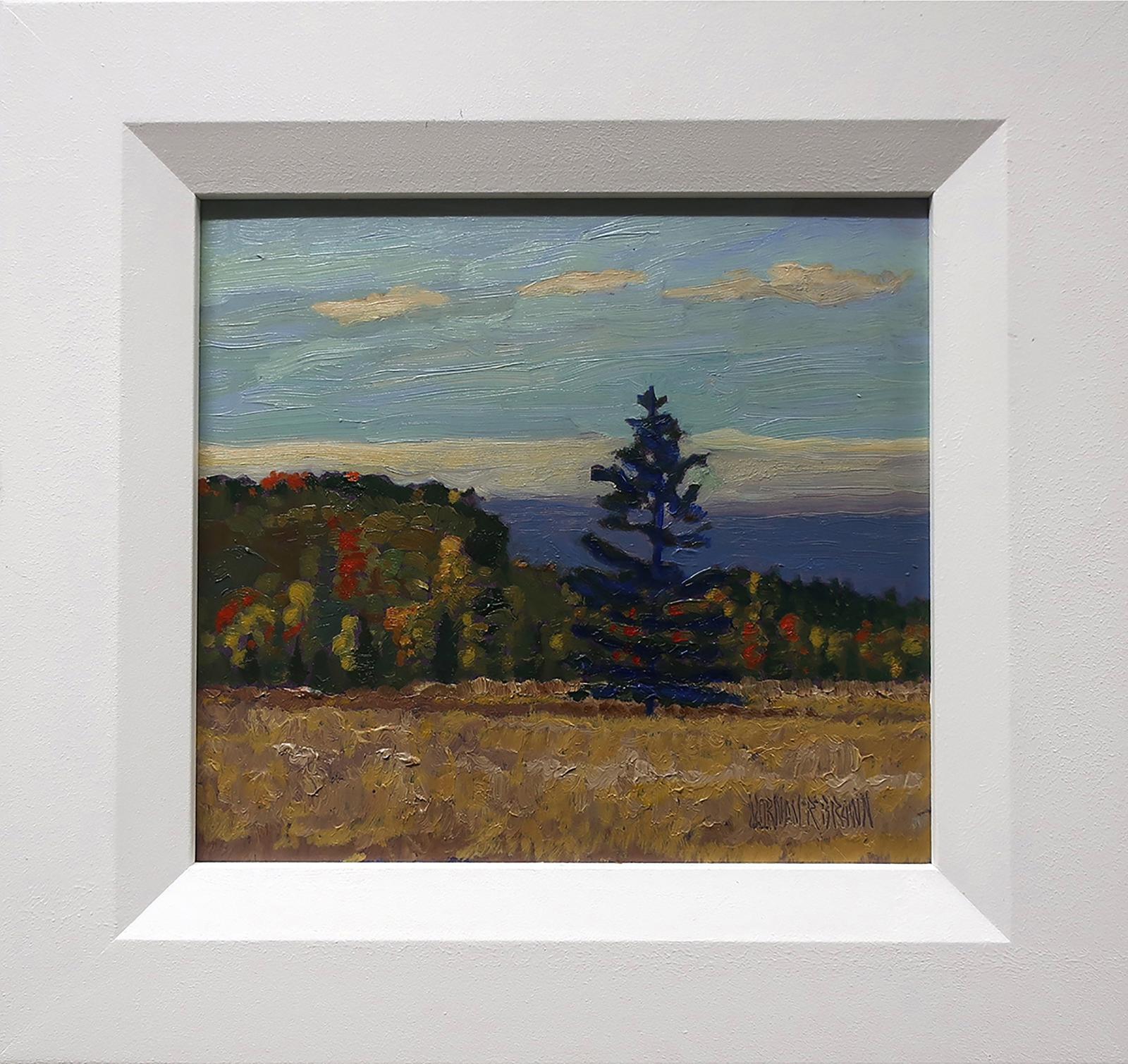 Norman Richard Brown (1958-1999) - Morning, Pine Tree - Scugog