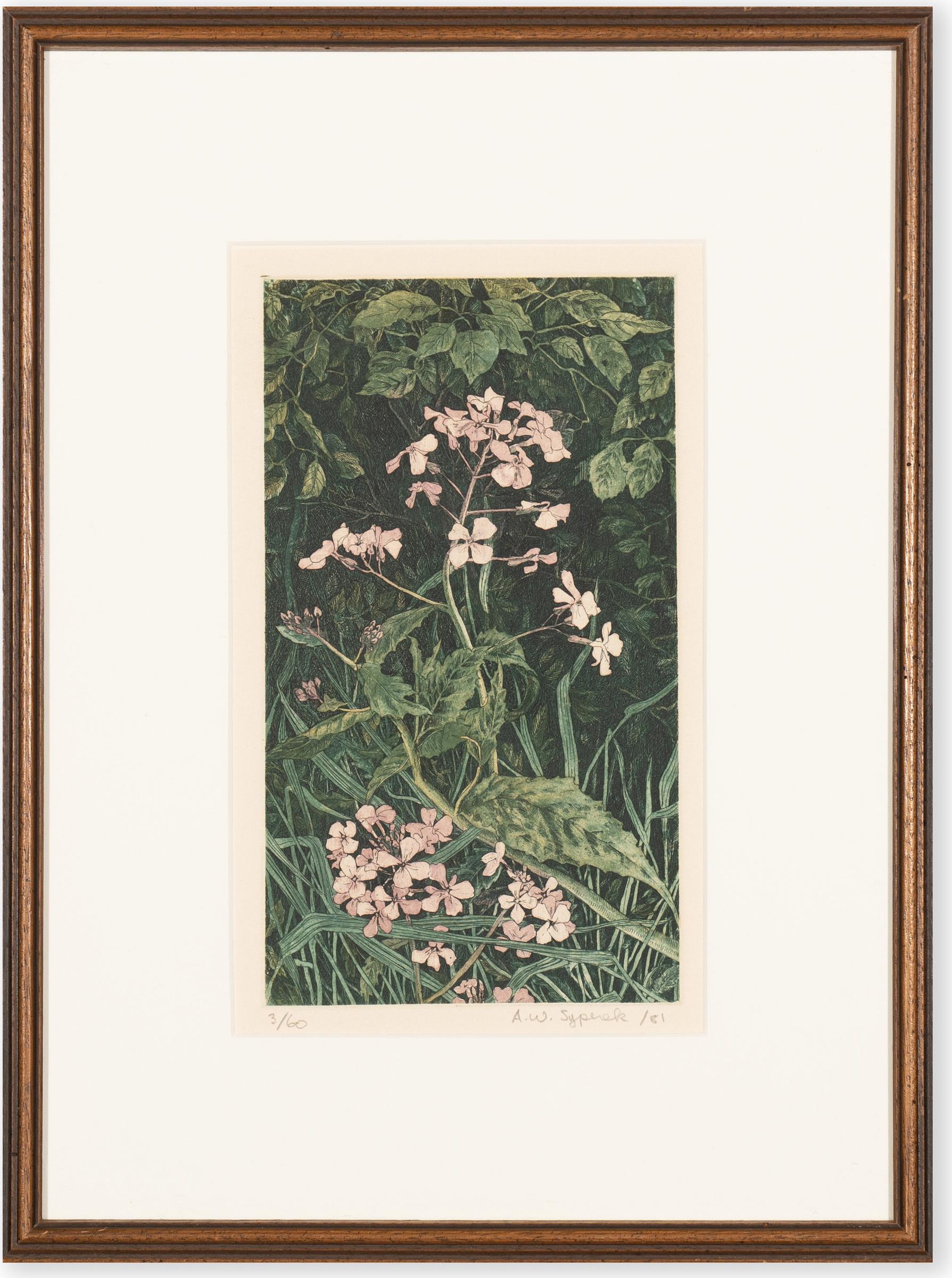 A. W. Syperek - Untitled (Pink Flowers)