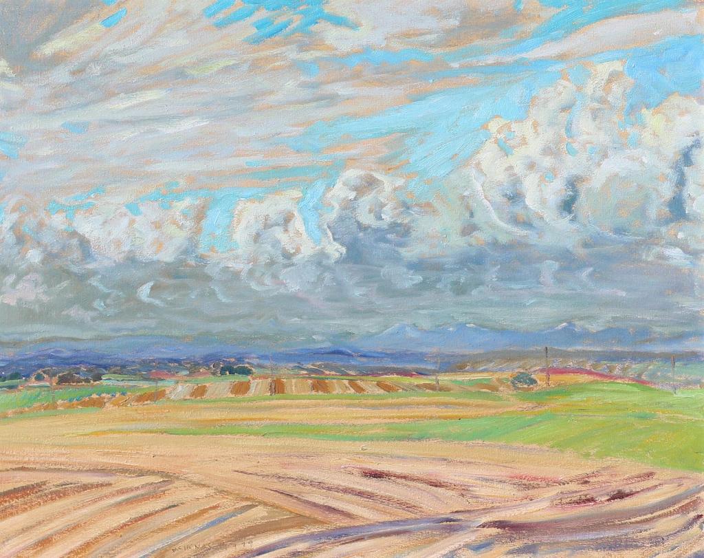 Robert F.M. McInnis (1942) - Storm Front