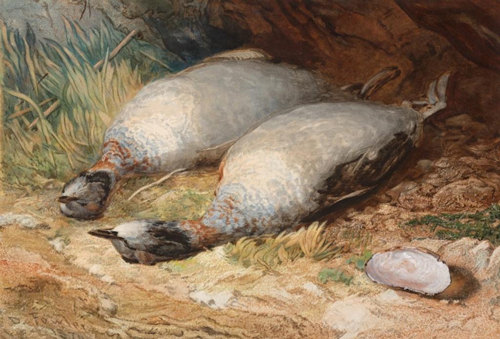 Daniel Fowler (1810-1894) - Canadian Partridges