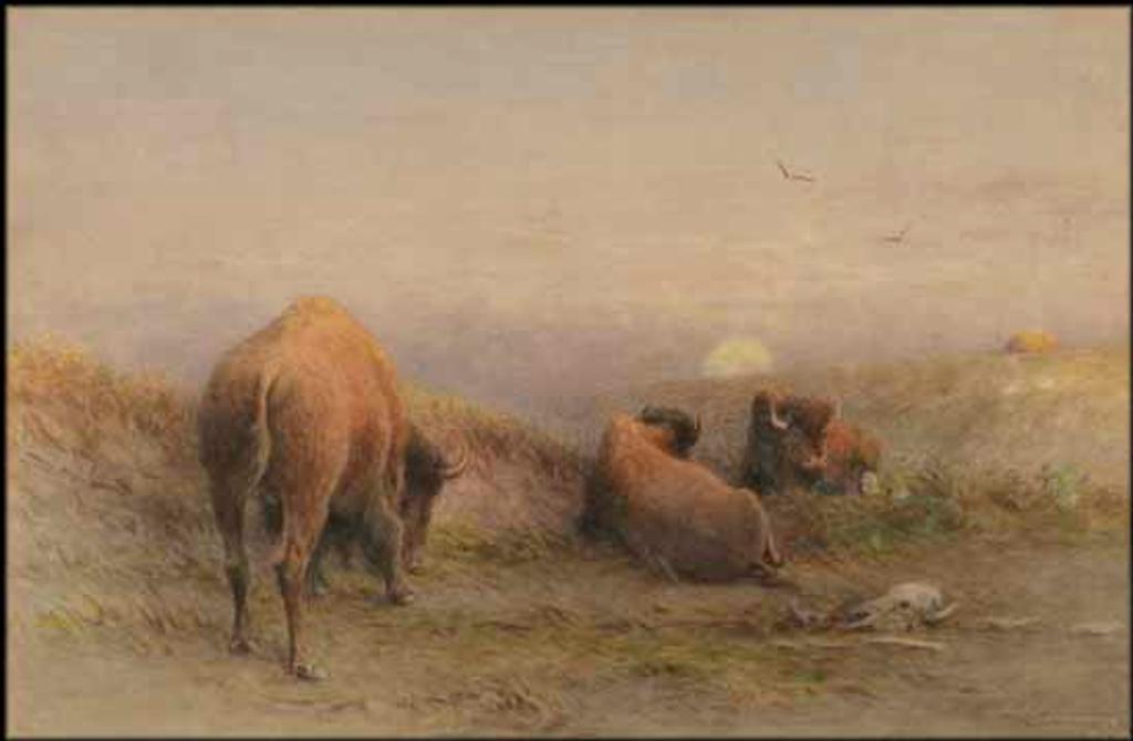 Frederick Arthur Verner (1836-1928) - Buffalo, Evening