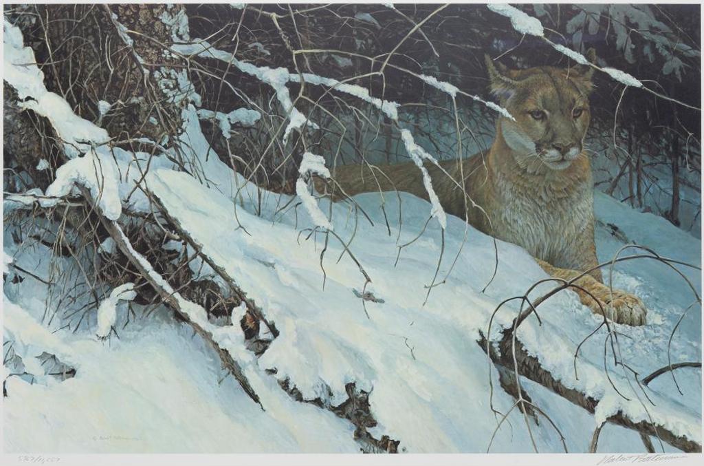 Robert Mclellan Bateman (1930-1922) - Cougar in Snow