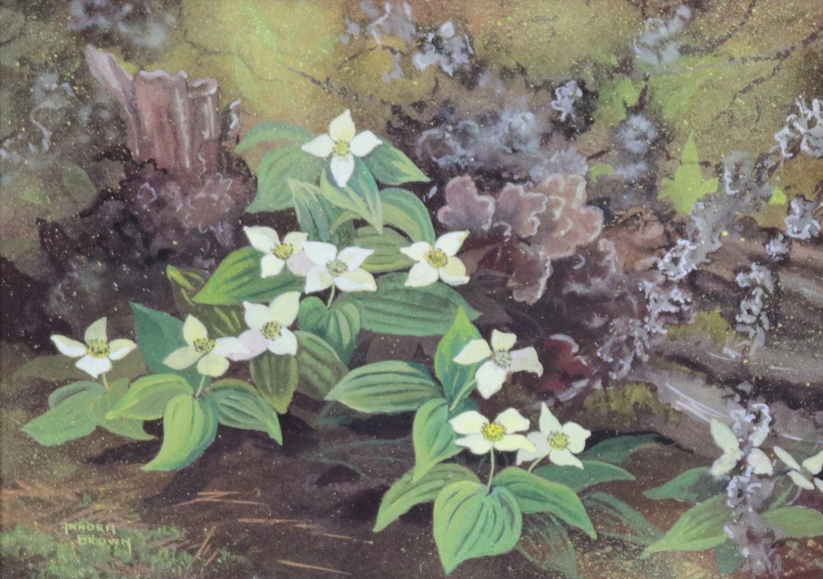 Annora Brown (1899-1987) - Bunchberry (Canadian Dogwood)