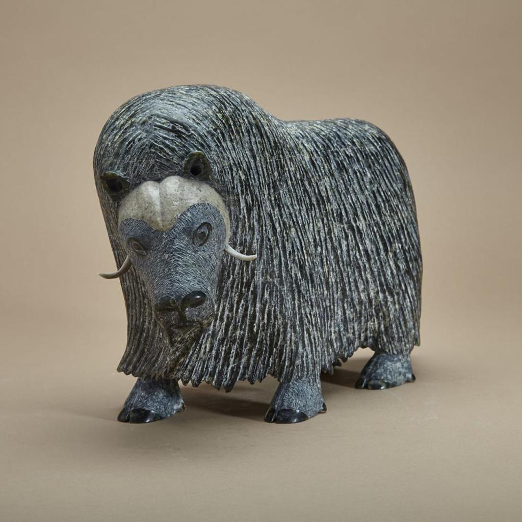 Lucassie Ikkidluak (1949) - Musk Ox