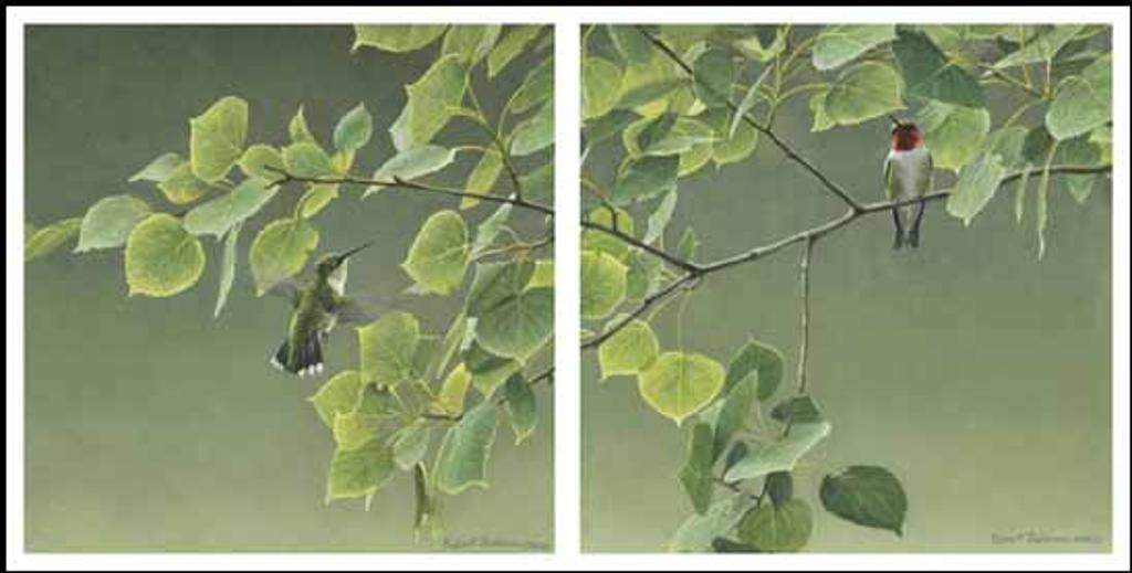 Robert Mclellan Bateman (1930-1922) - Hummingbirds