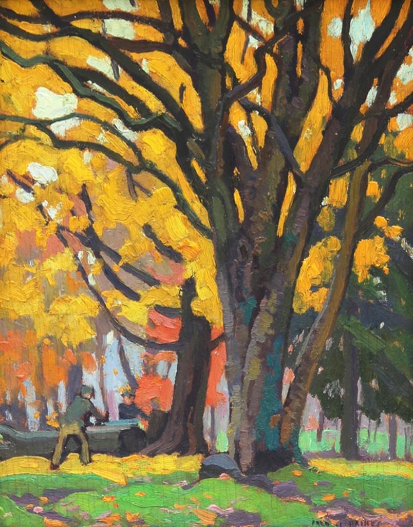 Frederick Stanley Haines (1879-1960) - Yellow Birch