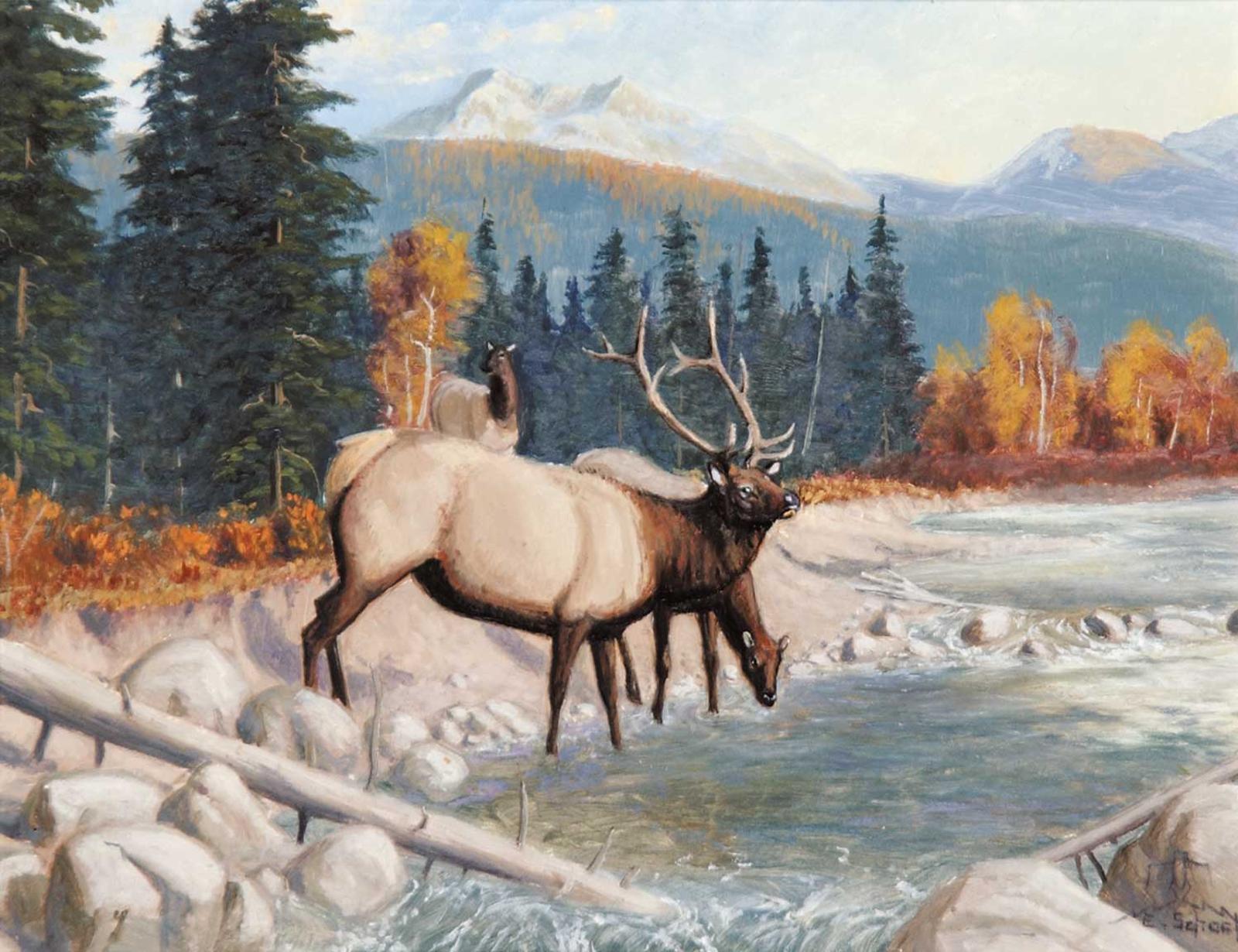 Elmer Schock - Elk