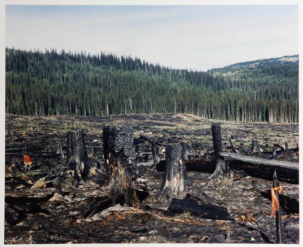 Lorraine Gilbert (1955) - John in a Slash Burn, Princeton, B.C.