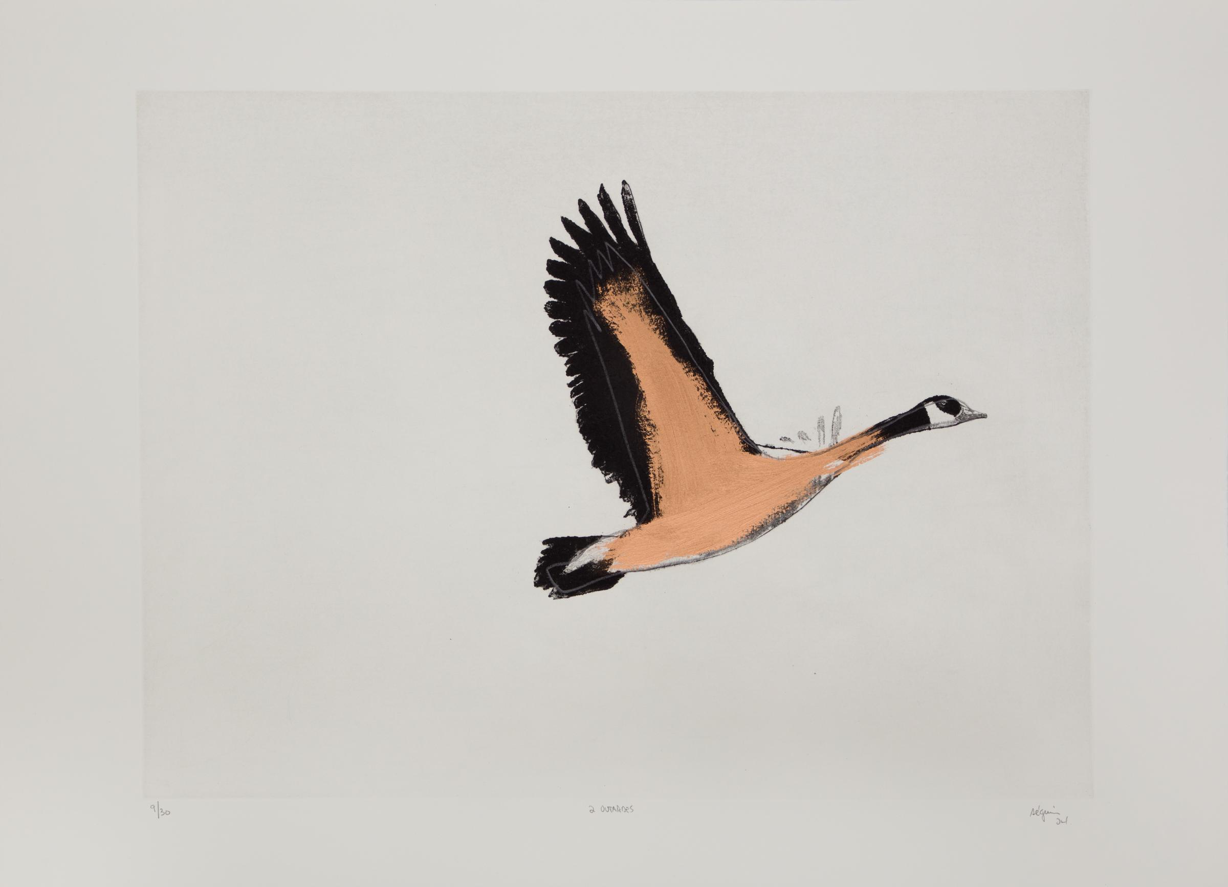 Marc Séguin (1970) - 2 outardes, 2024