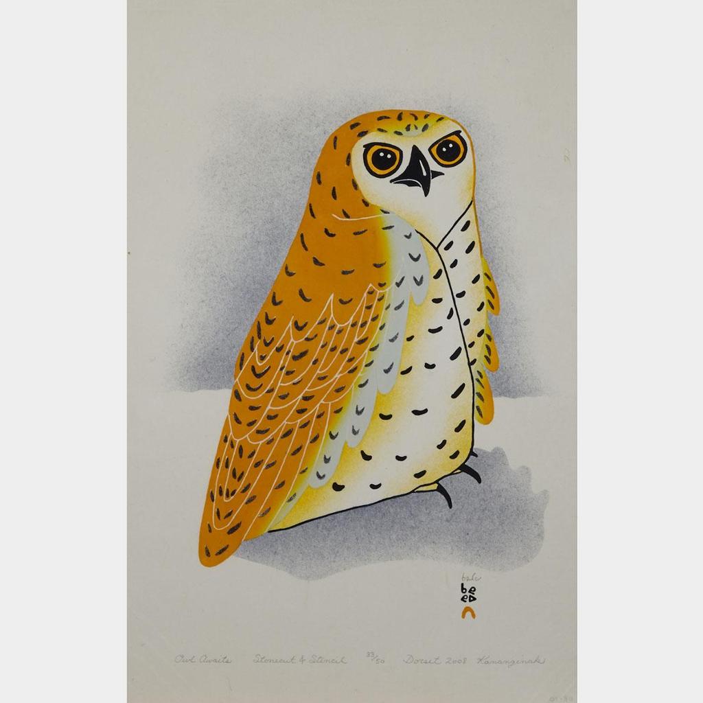 Kananginak Pootoogook (1935-2010) - Owl Awaits
