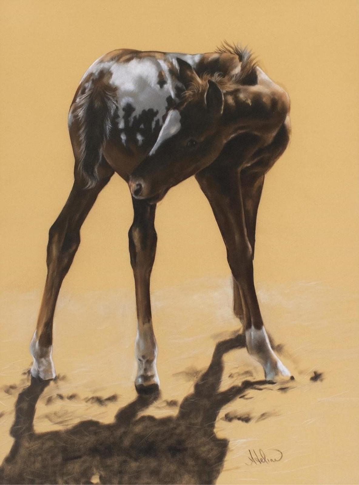 Adeline Halvorson (1957) - Foal