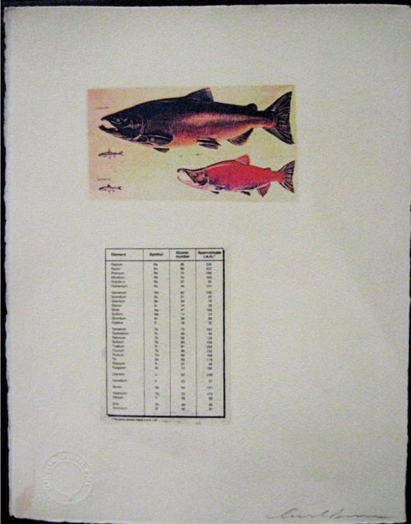 Carl Beam (1943-2005) - Nature Study (Salmon/Chart)