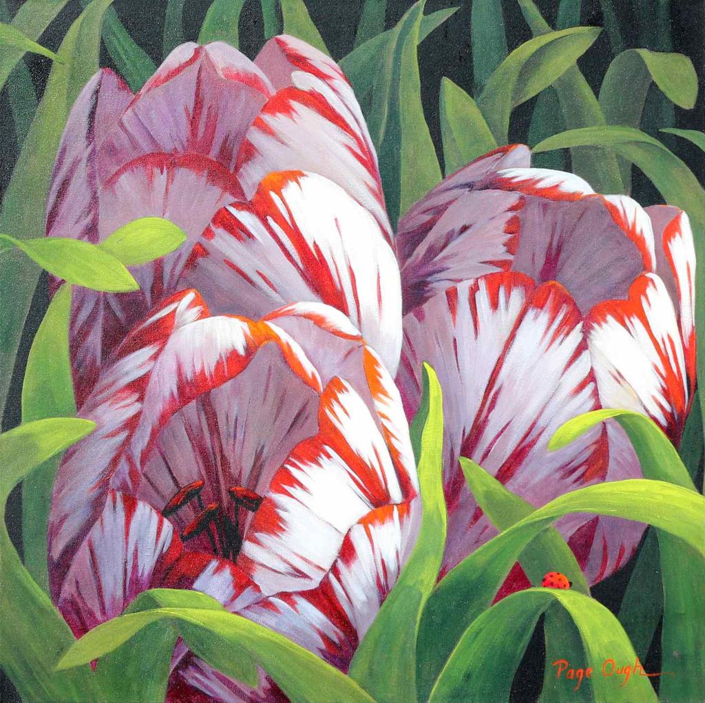 Page Ough (1946) - Spring Garden Tulips