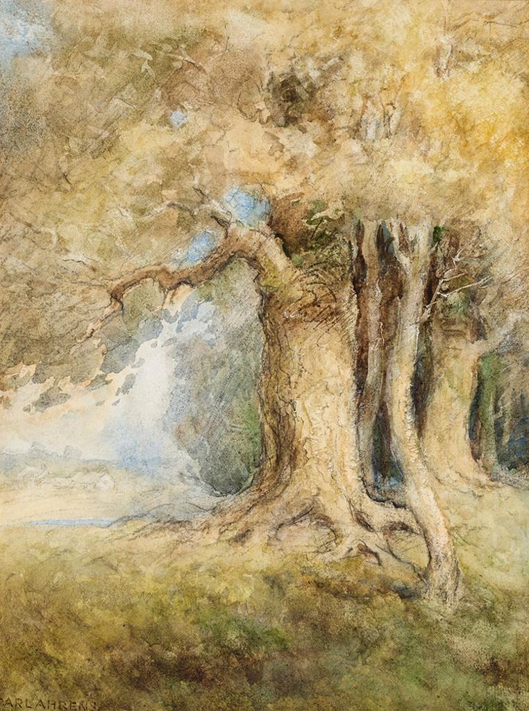 Carl Henry Von Ahrens (1863-1936) - Birch Trees