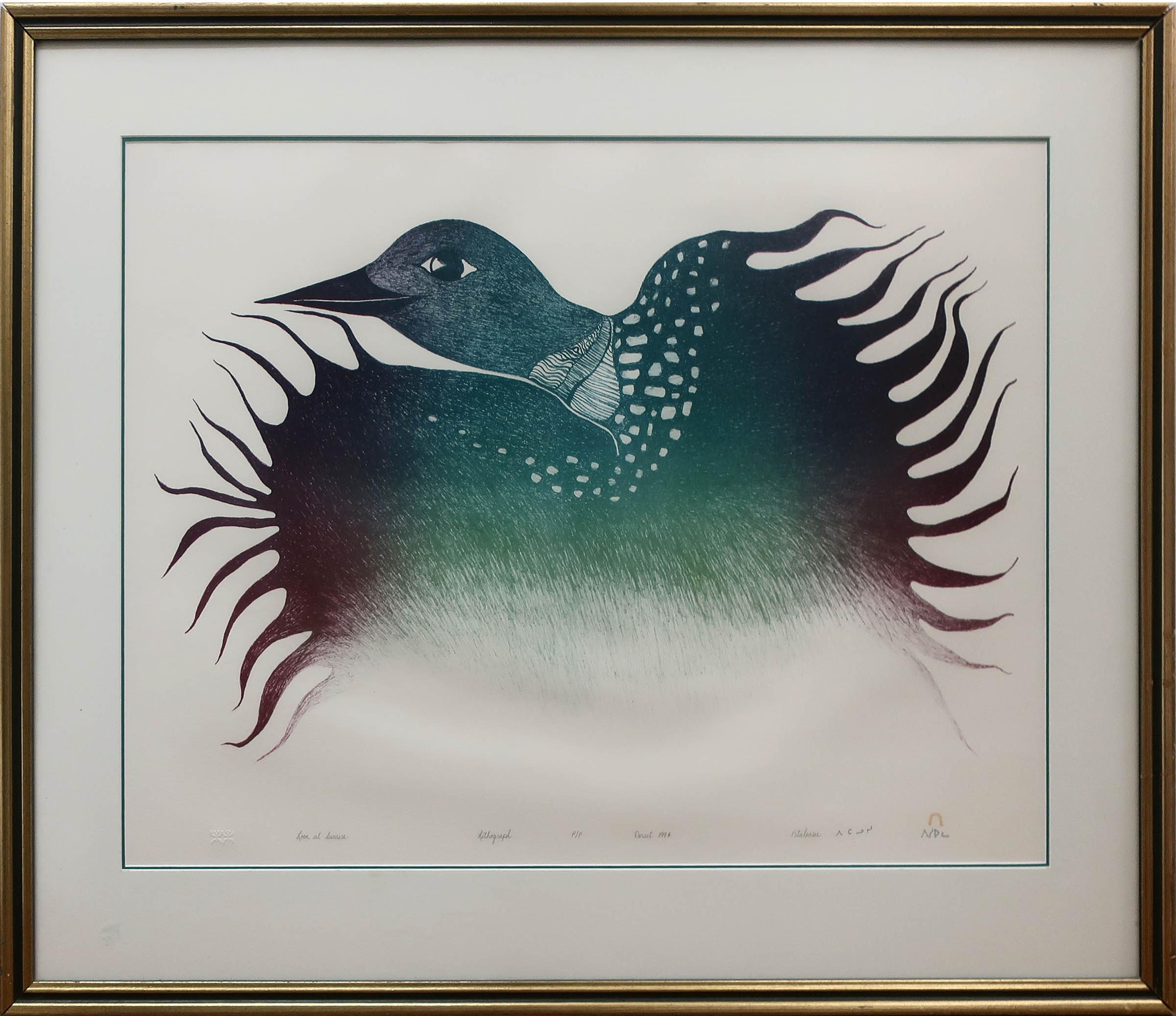 Pitaloosie Saila (1942-2021) - Loon At Sunrise