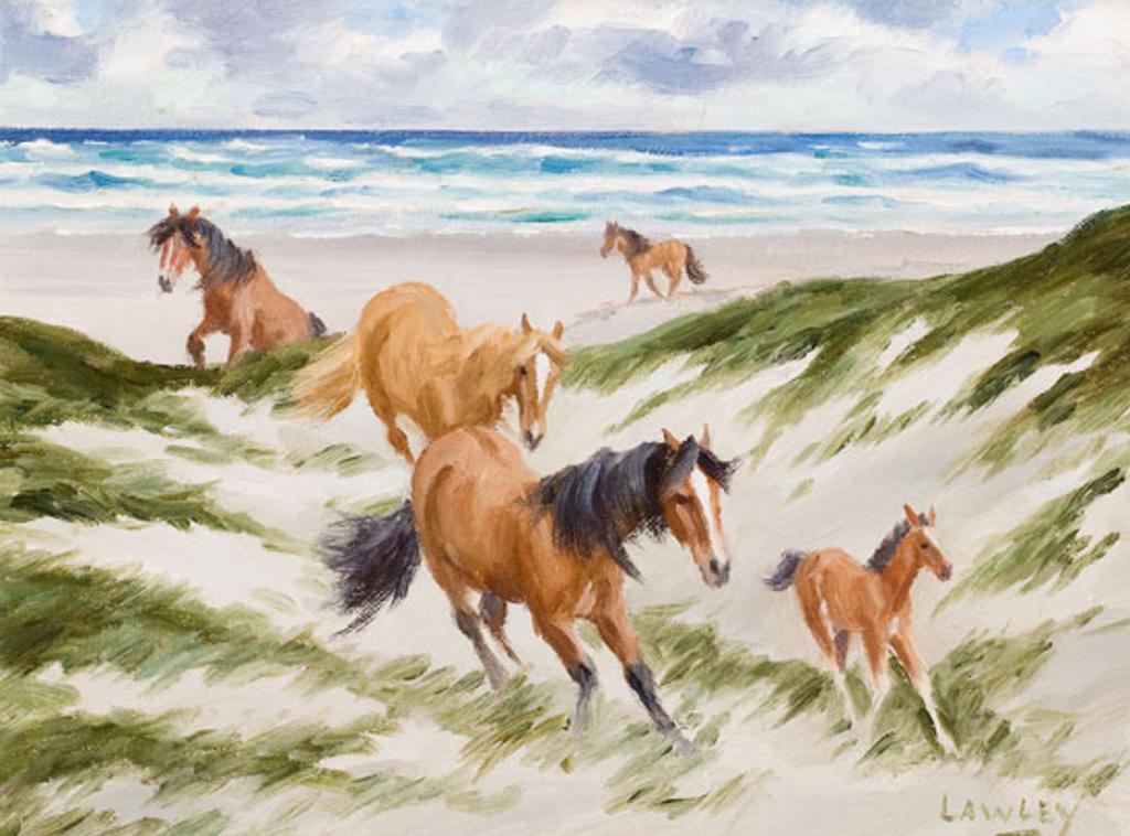 John Douglas Lawley (1906-1971) - Sable Island Horses