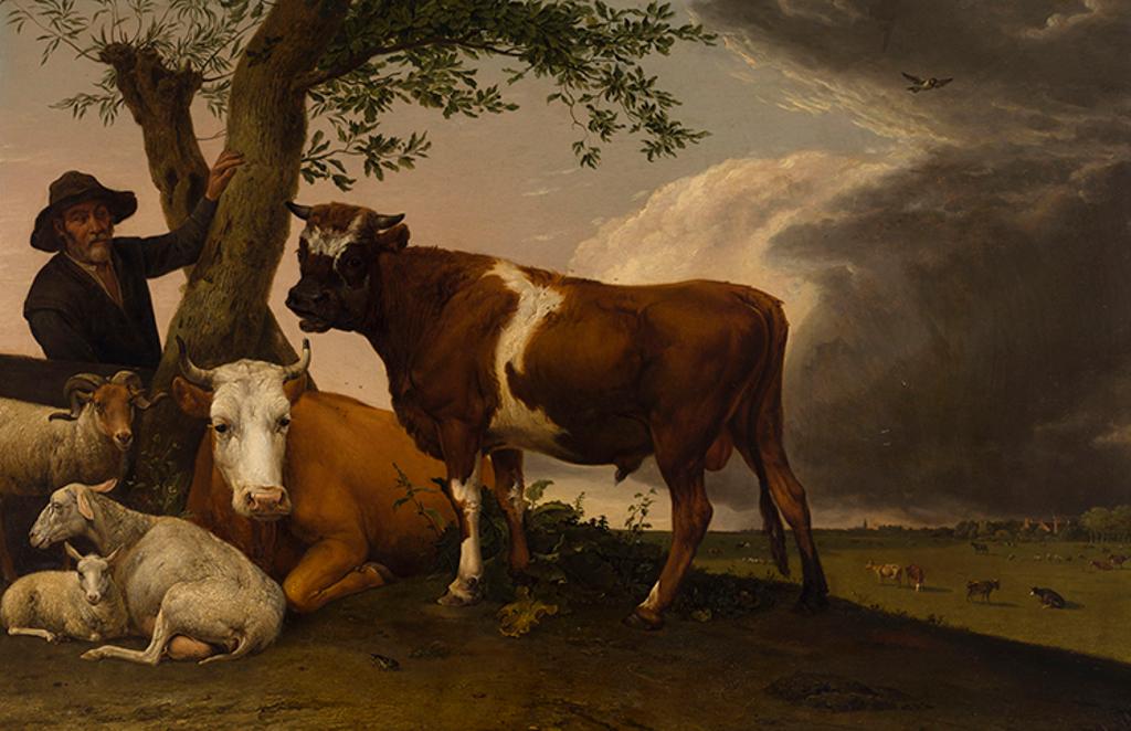 Follower of Paulus Potter (1625-1654) - The Young Bull