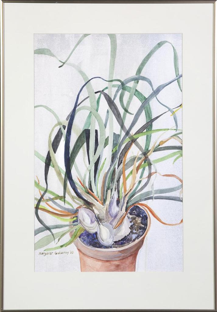 Margaret Galloway (1915) - Untitled - Plant