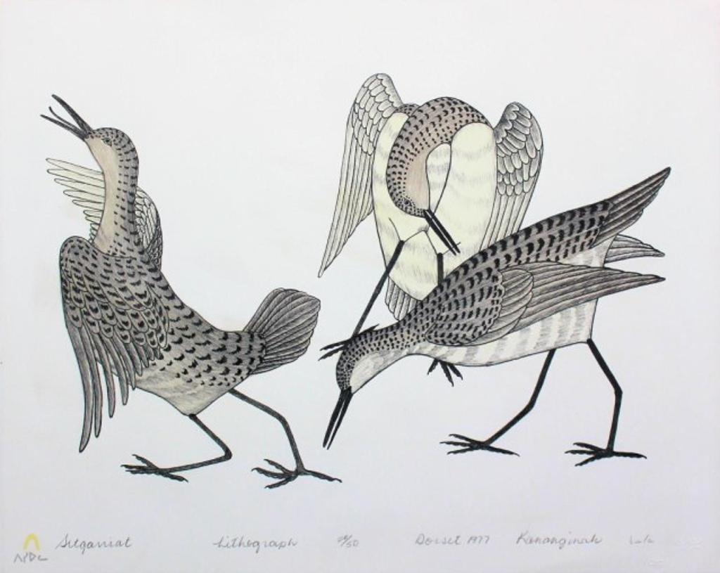 Kananginak Pootoogook (1935-2010) - Lithograph, 22/50, framed