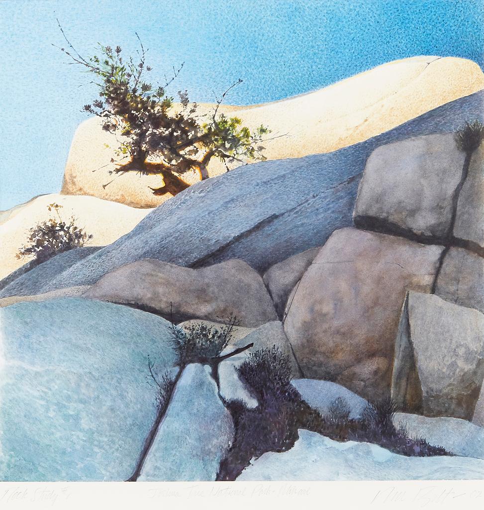 Ronald (Ron) William Bolt (1938-2019) - Rock Study #1 (Joshua Tree National Park - Mohave)