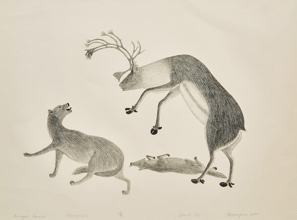 Kananginak Pootoogook (1935-2010) - Enraged Caribou