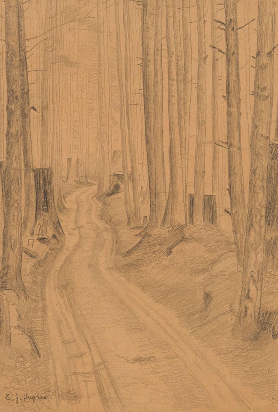 Edward John (E. J.) Hughes (1913-2007) - Inside Stanley Park