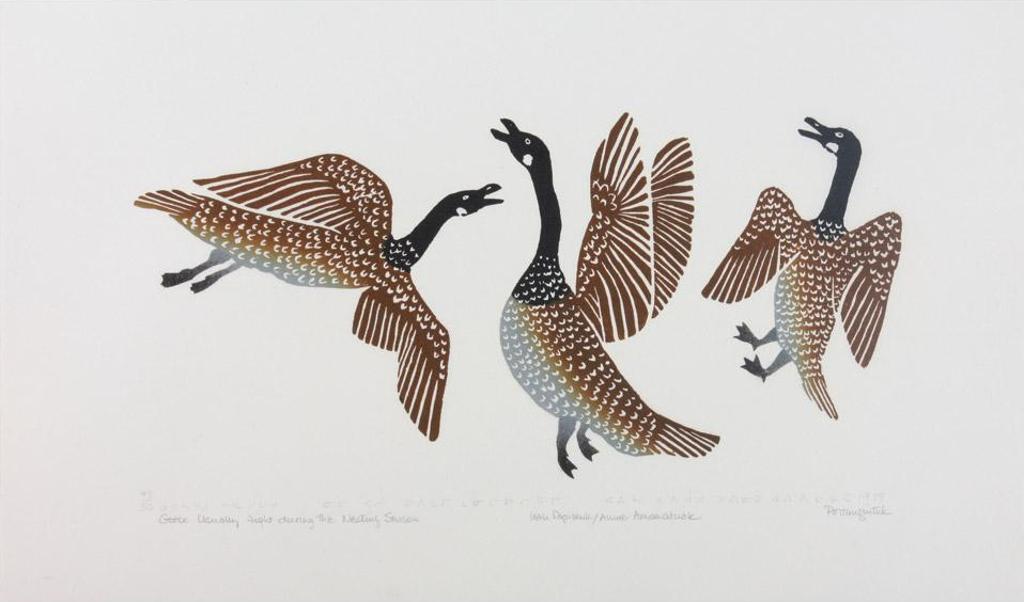 Isah Papialuk (1926) - Geese Usually Fight During The Nesting Season