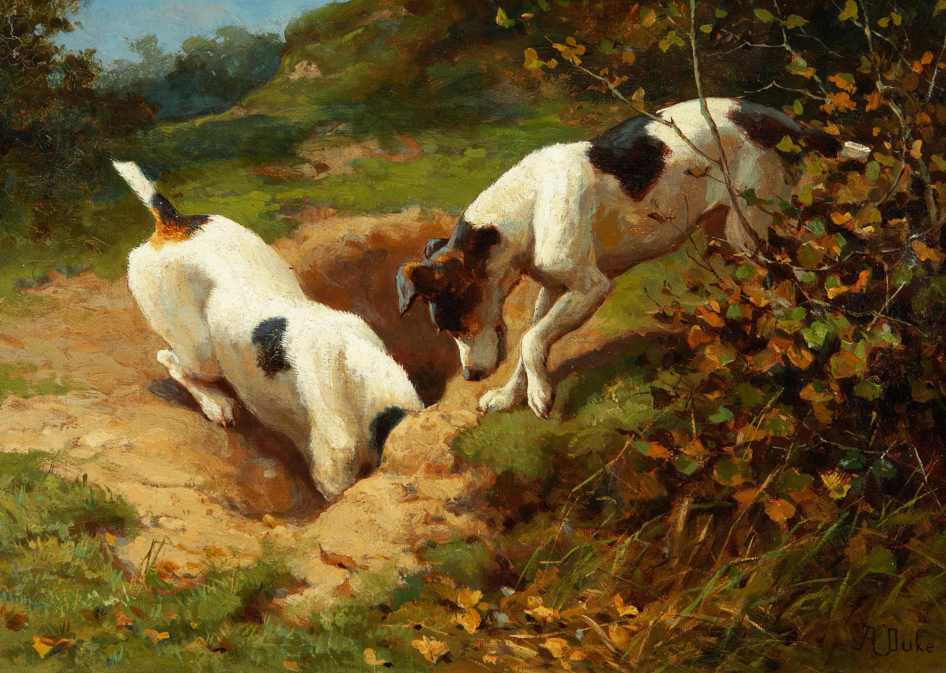 Alfred Duke (1905-1905) - Fox terriers chasing a rabbit; Gone to earth