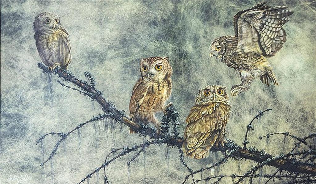 Chester Fields - Owls