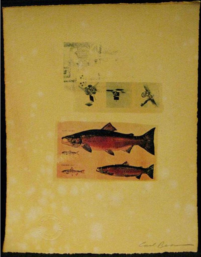 Carl Beam (1943-2005) - Satellites/Atlantic Salmon/Steelhead Trout