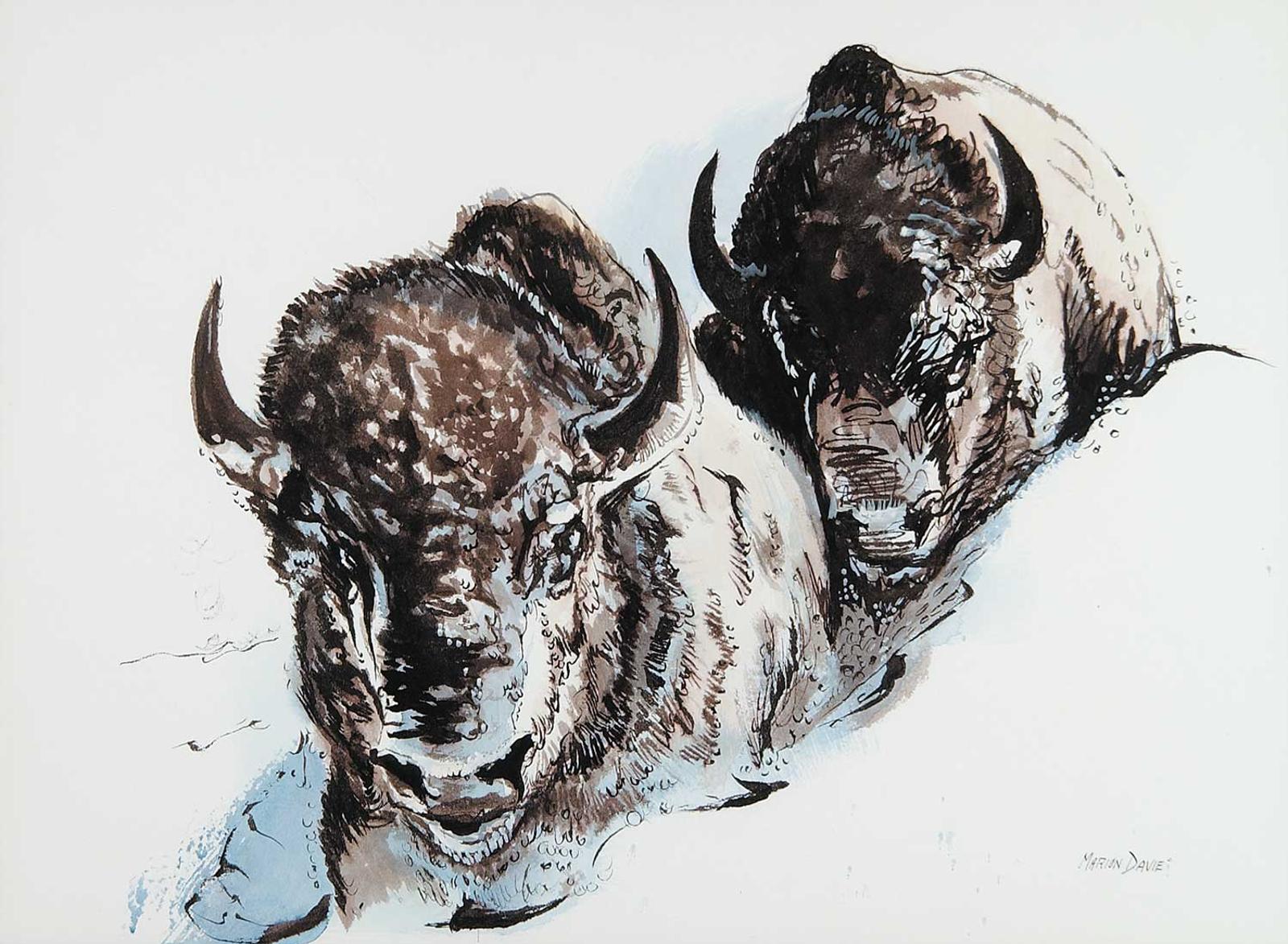 Marion Davie - Untitled - Two Buffalo