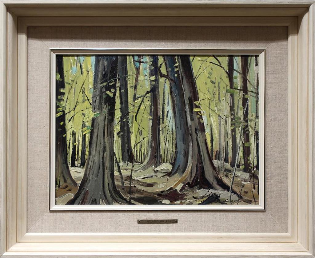 George Lorne Holland Bouchard (1913-1978) - Maple Woods In May - Near Oka - P.Que. (Lake Of Two Mountains)