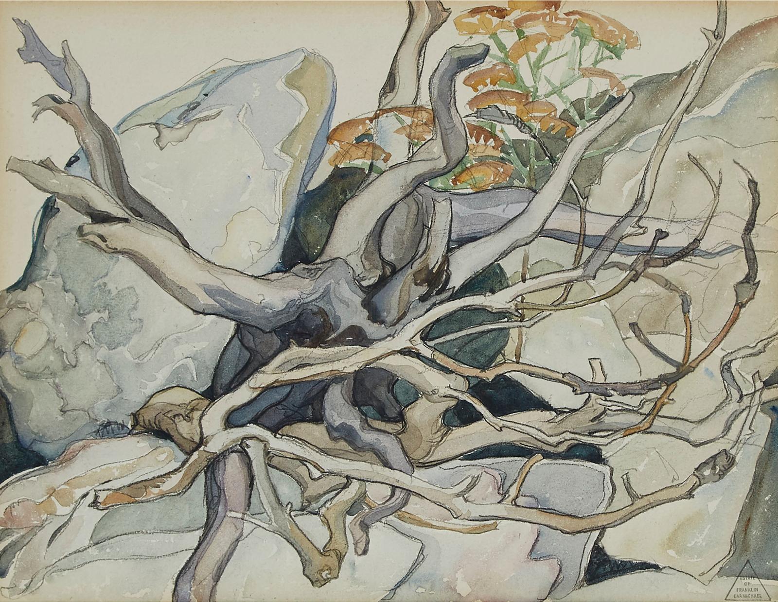 Franklin H. Carmichael (1898-1992) - Tree Root, Cranberry Lake, 1937