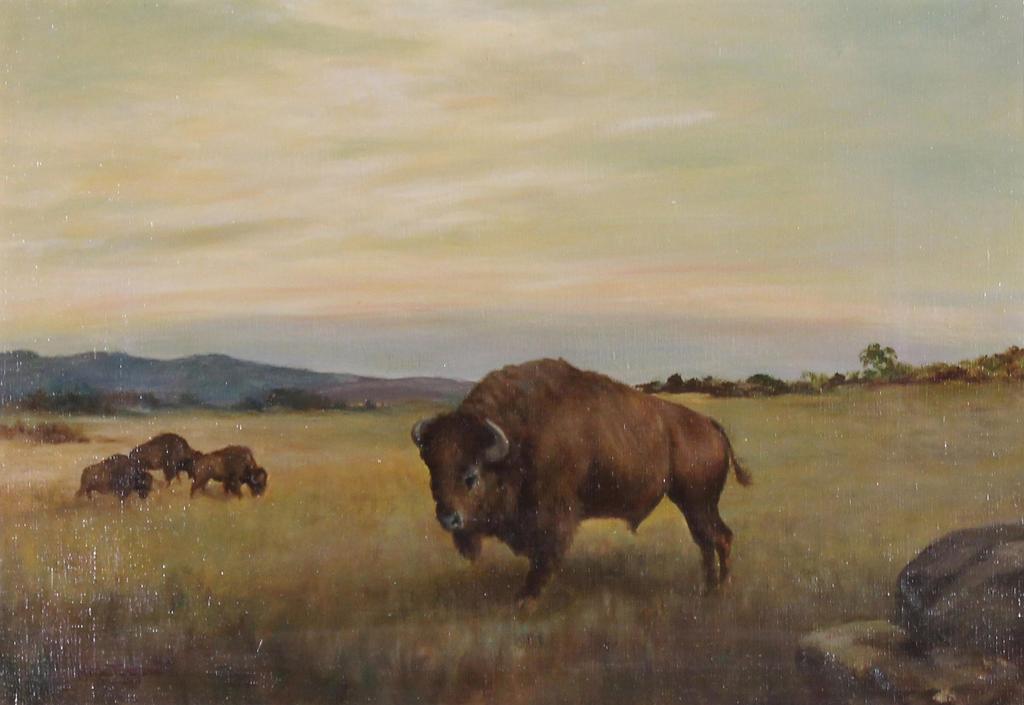 Father Henry Metzger (1877-1949) - Bison Grazing