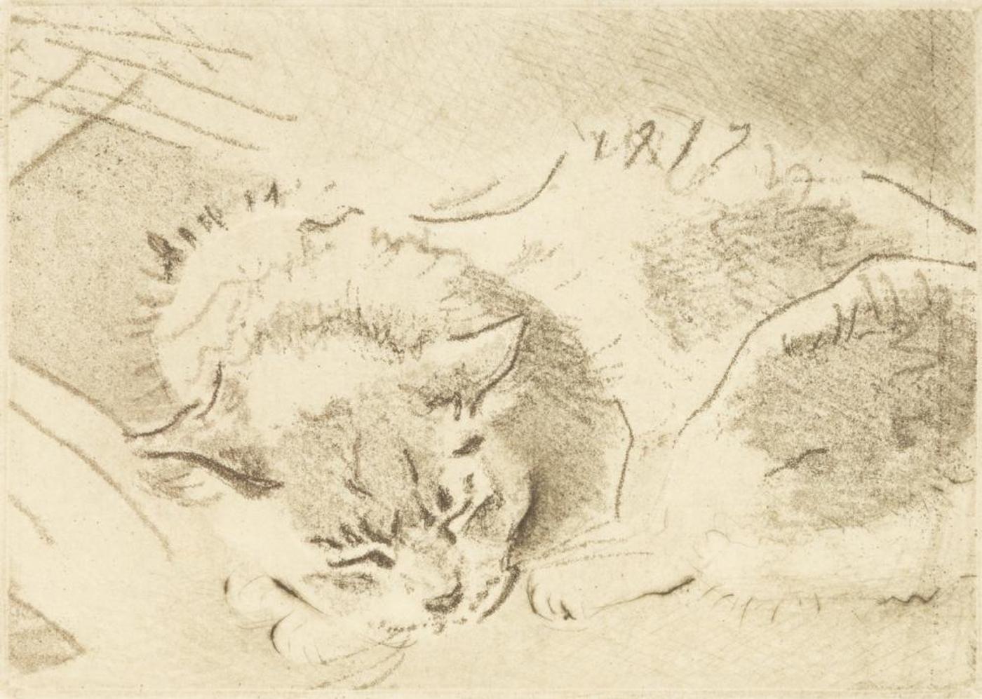 Len Gardiner - Sleeping Cat