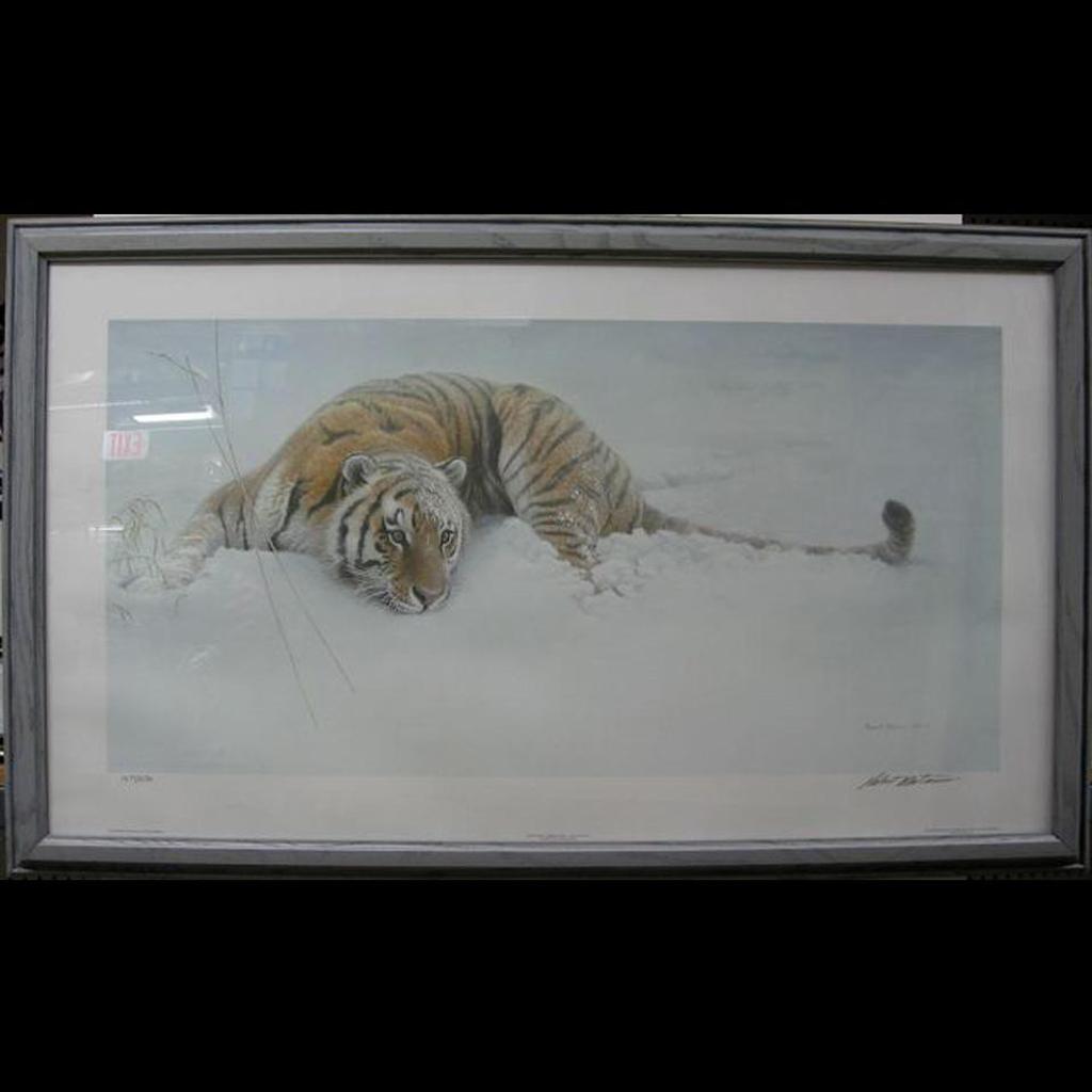 Robert Mclellan Bateman (1930-1922) - Sudden Move - Siberian Tiger