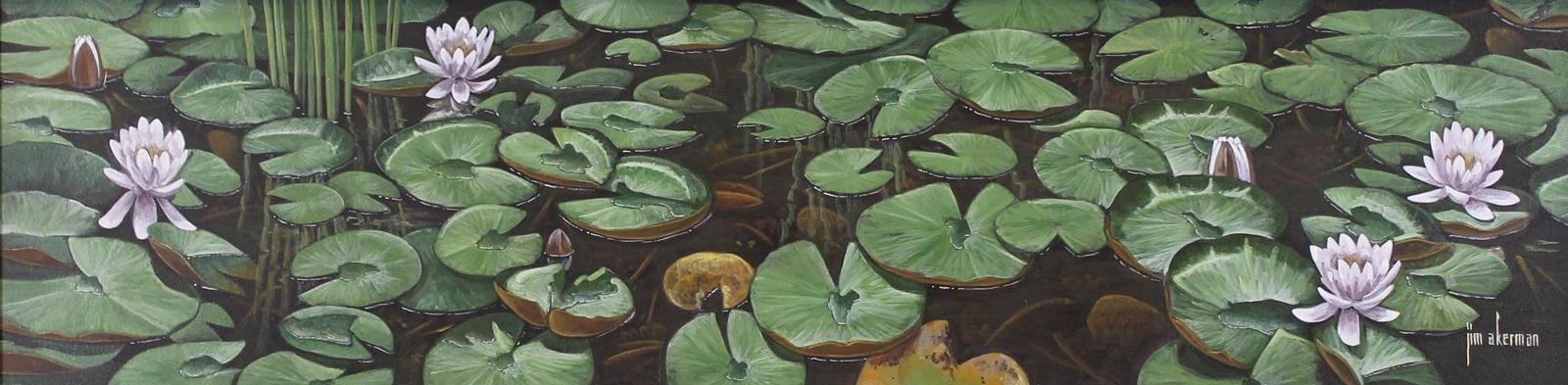 Jim Akerman - Water Lillies II; 2008