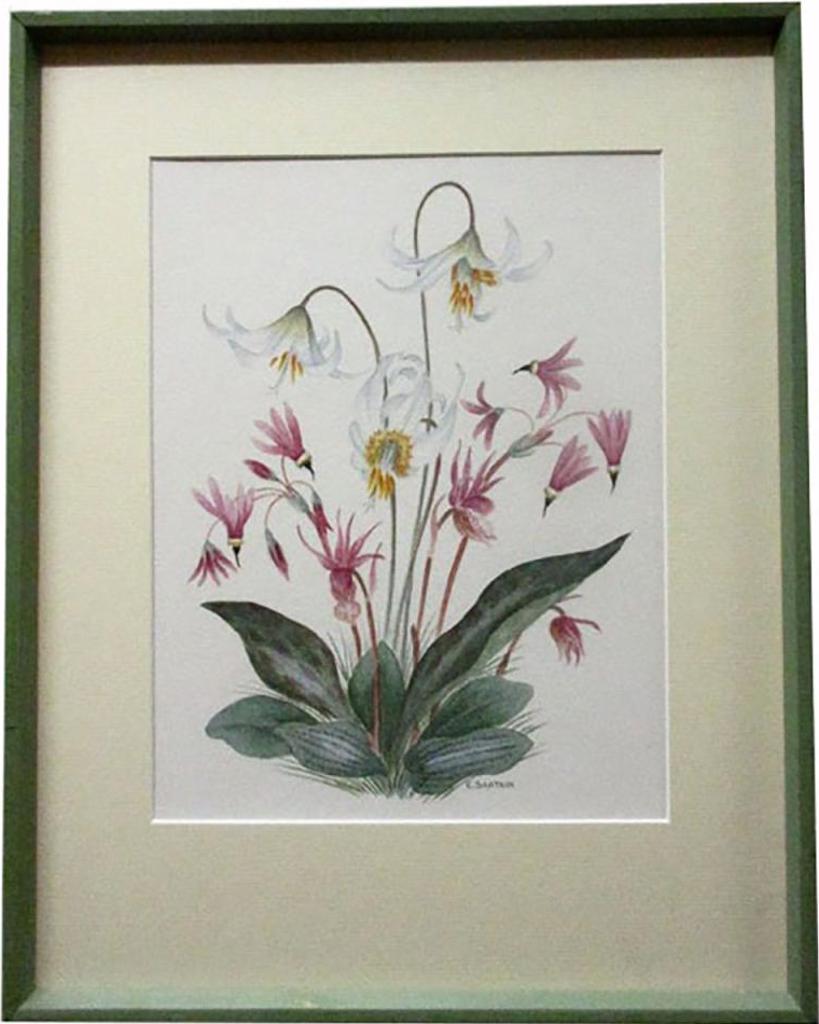 Emily Sartain (1903-1990) - B.C. Wild Flowers
